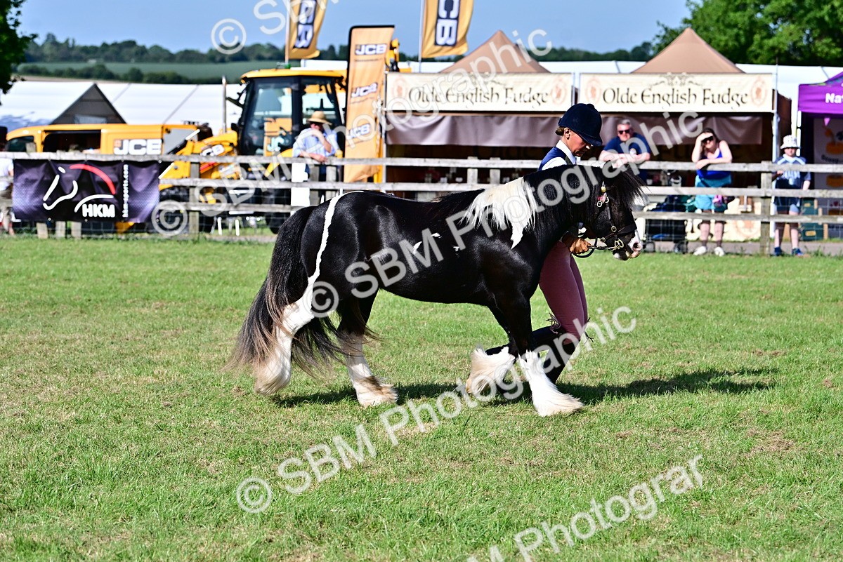 SBM_10010 - Class 63-65 - Traditional Gypsy Cobs In Hand & Ridden