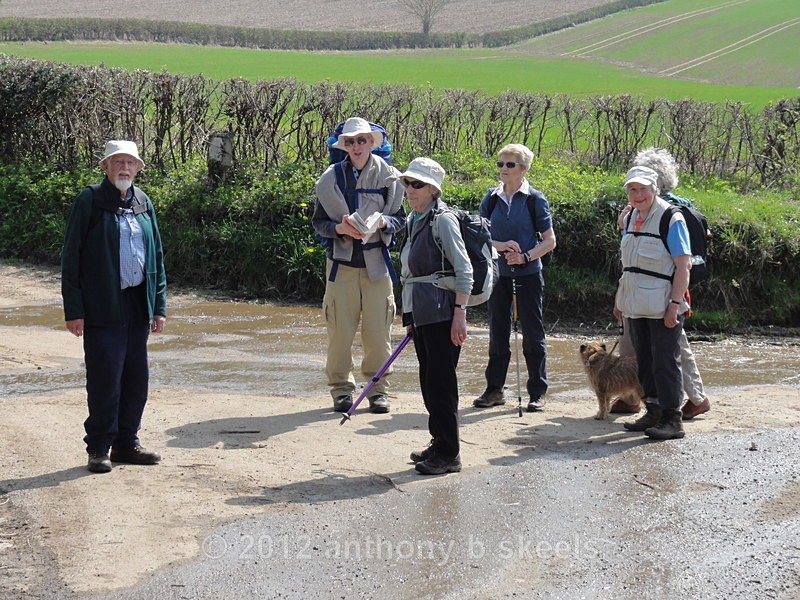 029.Almost the end of a busy day . - Third Saturday Walks Collection Two.
