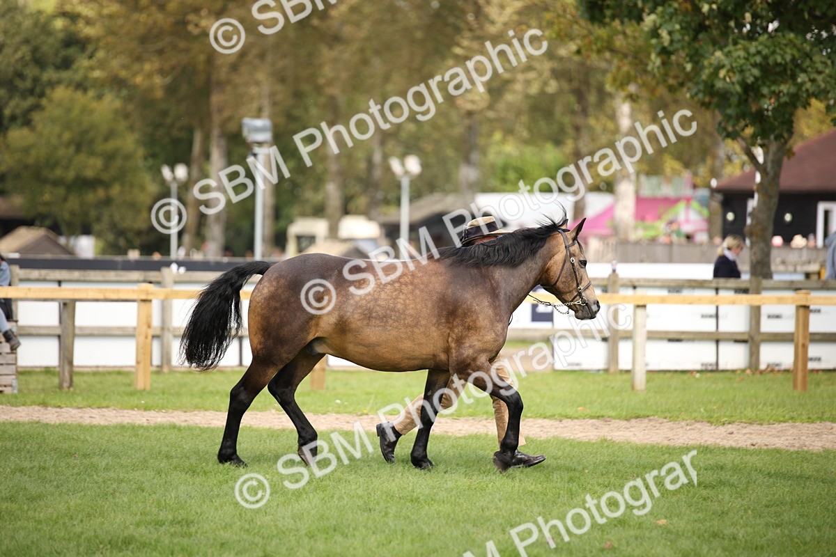 SBM_44478 - S24 - Young Veteran in hand