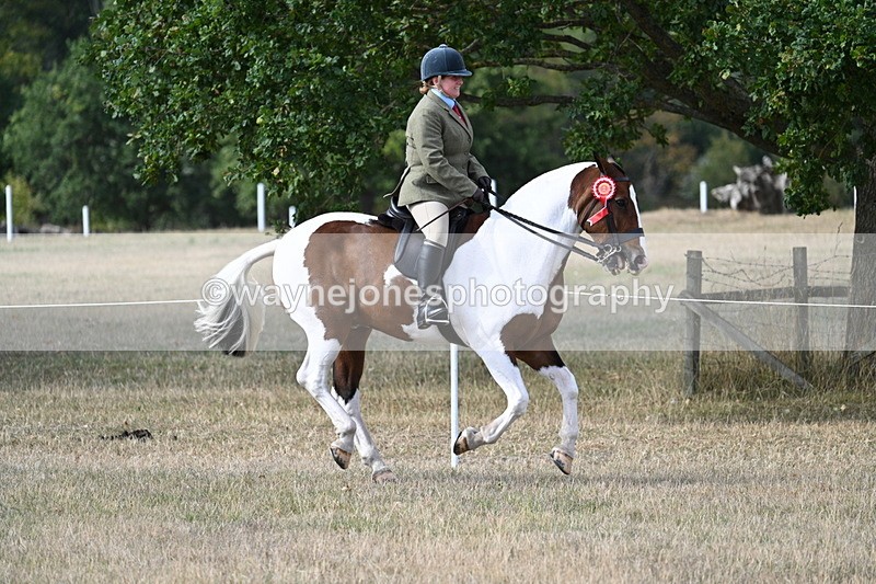 WJ7_7752 - Ridden Championship