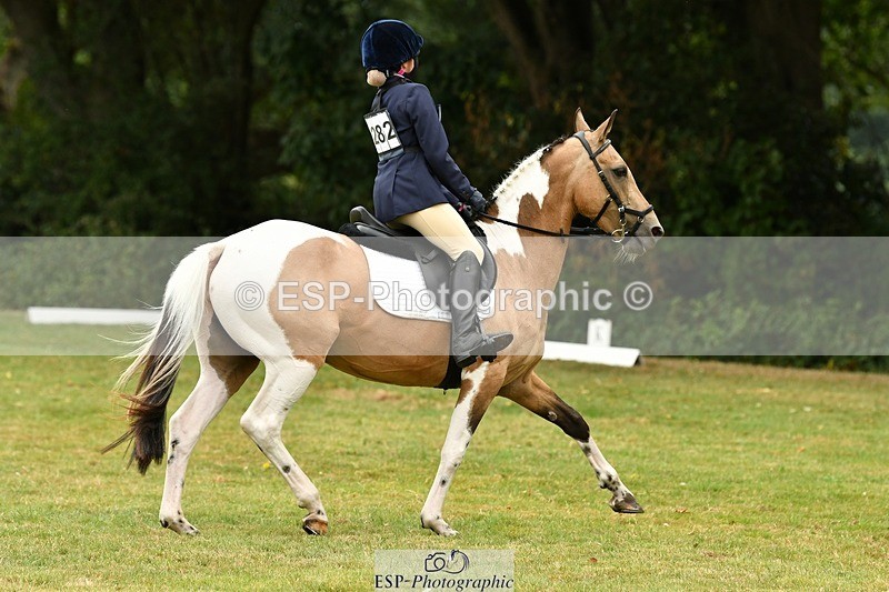 250820A-125133-05677 - 12 to 13.00