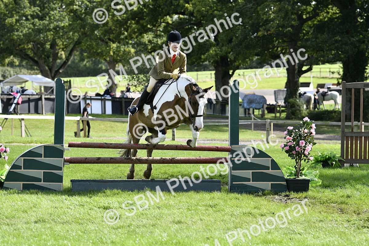 SBM_45698 - S33 - Working Hunter Pony