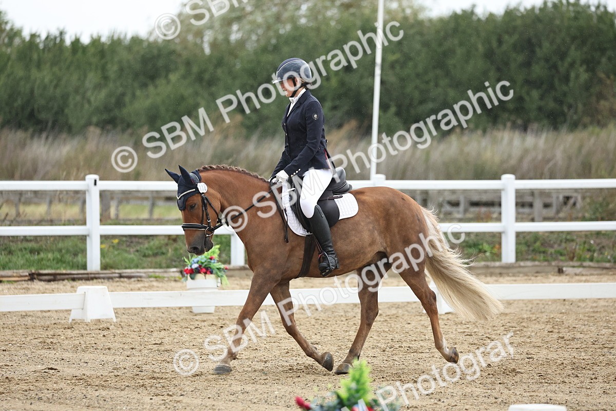 SBM_004313 - Class 8 - Novice 3 Champs