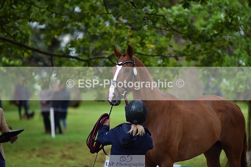 240522-164958-01183 - 263-CHILLI_MORNING_IV-Gemma_Stevens