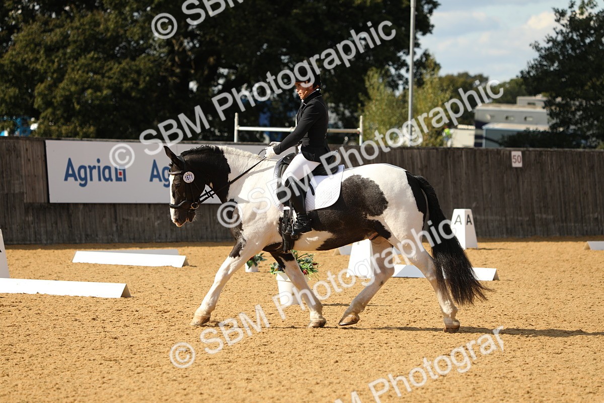 SBM_26687 - D17 - Grand Tour Championship - Novice 27