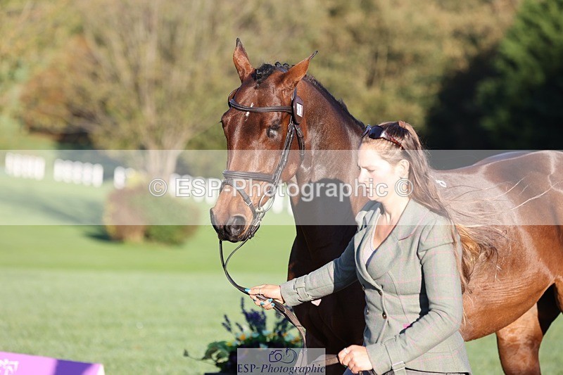 241027-083533-14682 - 412-Holly.Horton-MILTONHILL.MALENKI