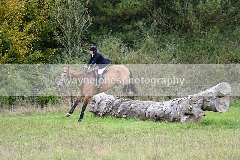 WJ7_3705 - Camera 1 Line 1