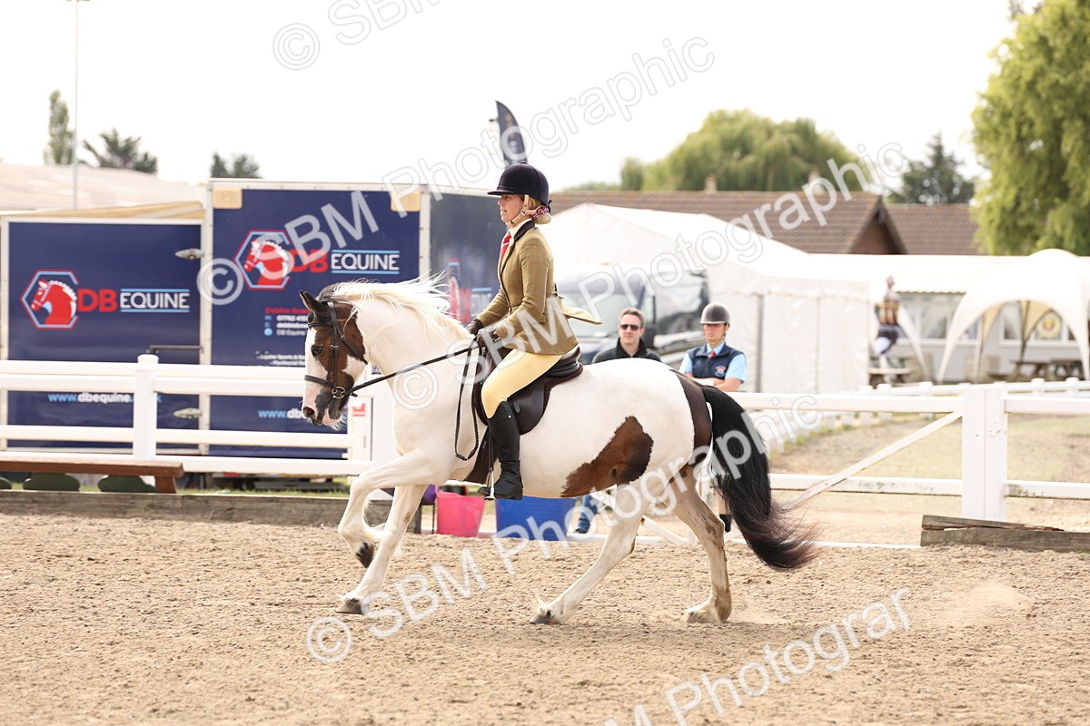SBM_04279 - Class 54 - Riding Club Horse/Pony