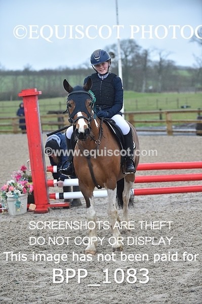 BPP_1083 - CLASS 1 Club/ Unaffiliated 60cms Open