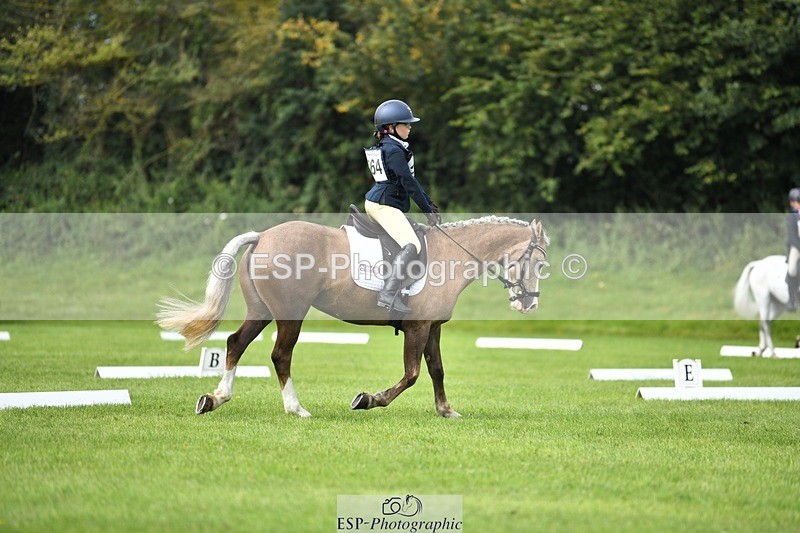 230826-102629-15476 - Sections C & D 10 to End