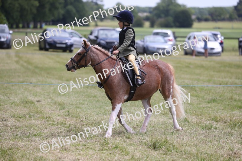 20260614-2051 - Class 21 - Novice Working Hunter Pony