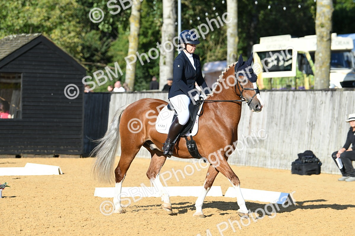 SBM_27300 - D16 - Small Tour Championship - Novice 28