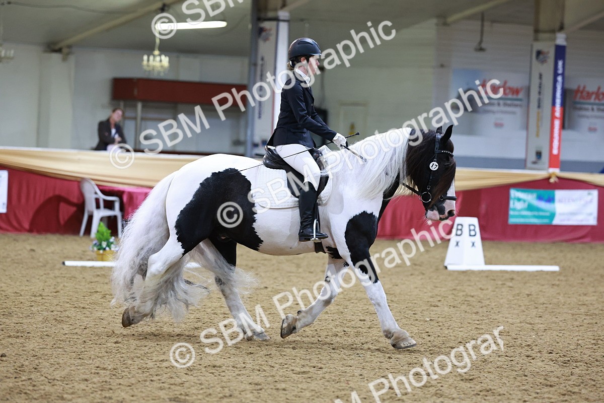 SBM_09954 - Class 61 - Dressage to Music