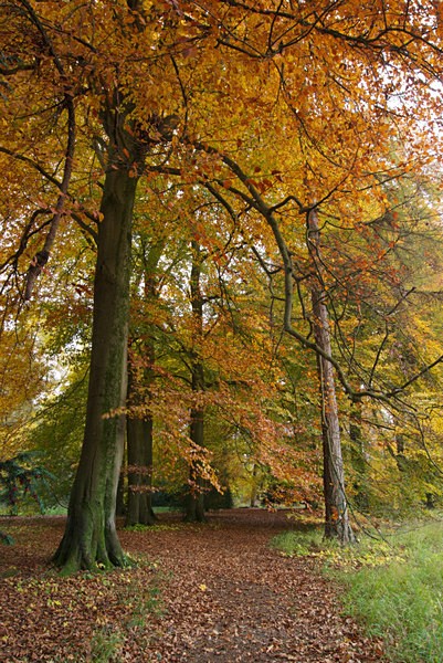  - Autumn