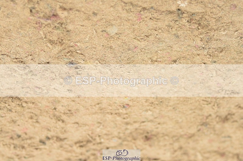 230813A-125044-13112 - Cls 49 Chard Eq 5yr Old Championship