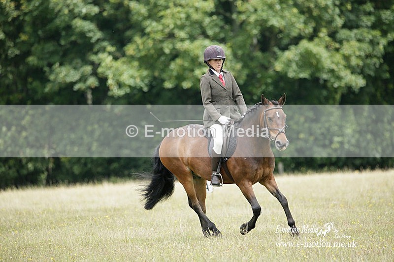 BVRC 030721 407 - Bourne Valley Riding Club Dressage 03/07/21