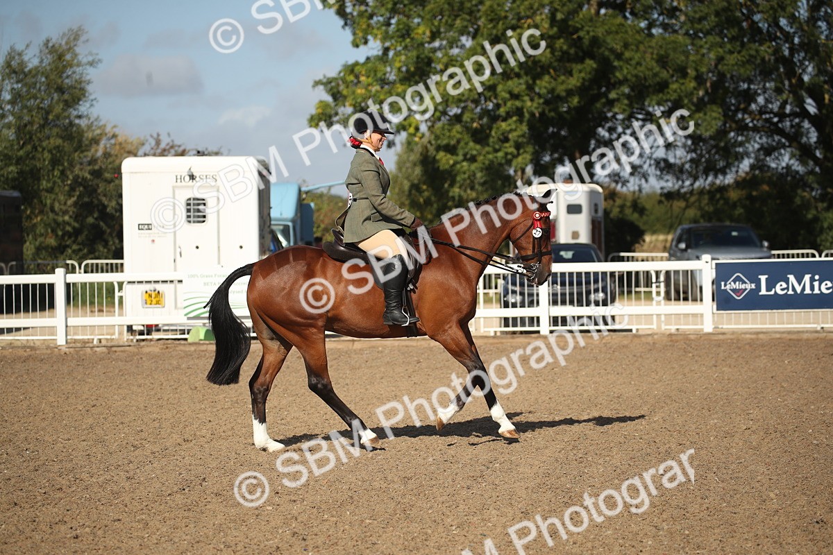 SBM_22710 - Class 601 - 2026 - Area - Ridden Diamond