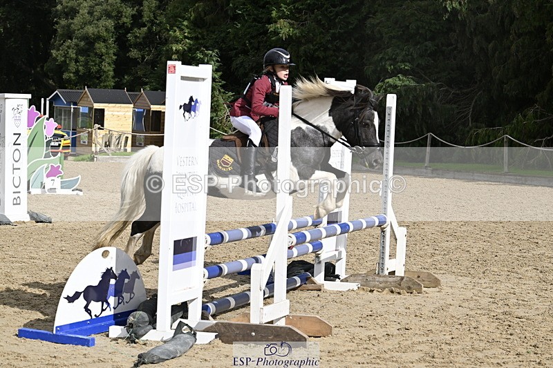 251005A-122144-03740 - Cls 08 Mini 70-75cm