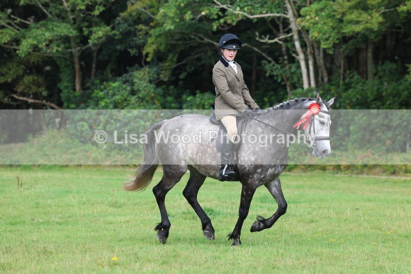 3E7A6082 - Working Hunter Championship