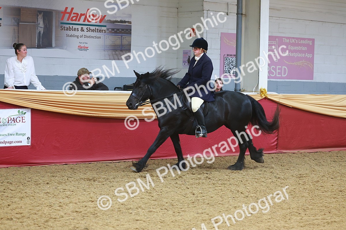 SBM_17833 - Class 952 - M&M Ridden Supreme Final