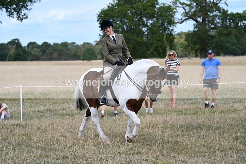 WJ7_4624 - Class 12 Ridden Cob