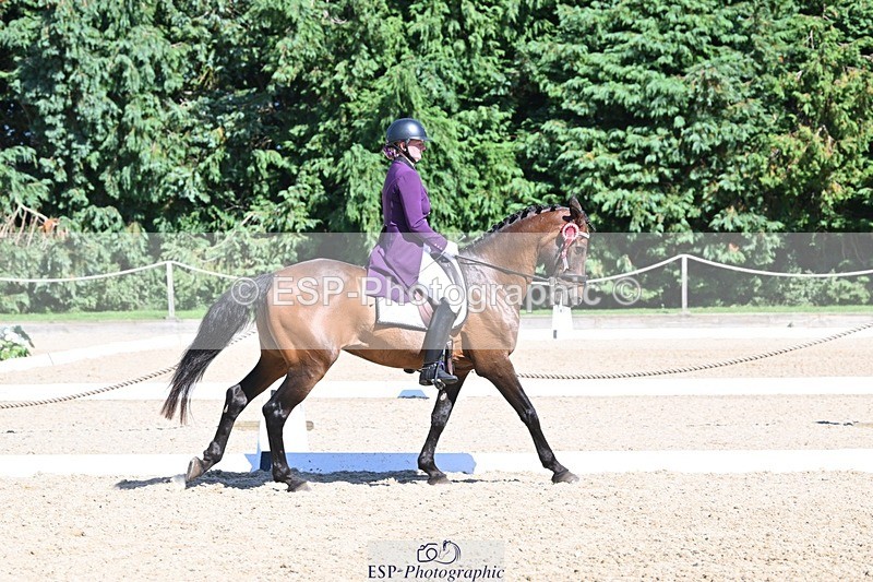 240811-154530-06842 - Inter I Silver