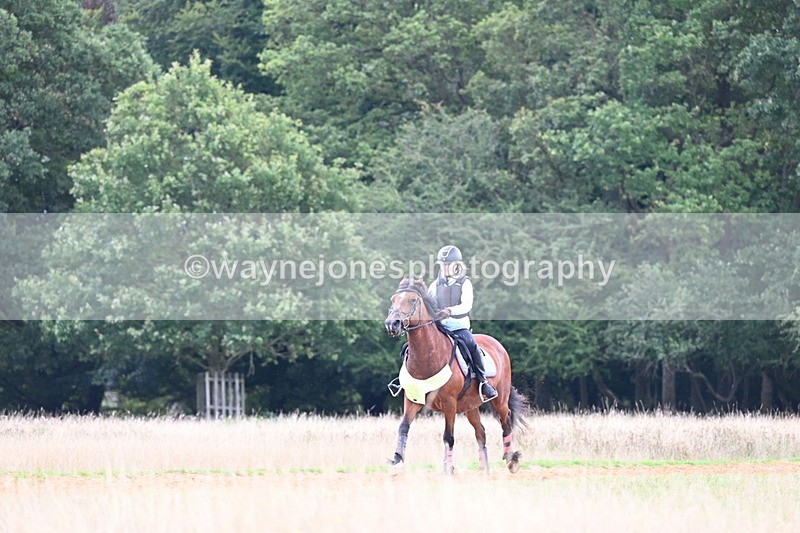 DSC_7292 - Time at Statue 13:16 to 13:52