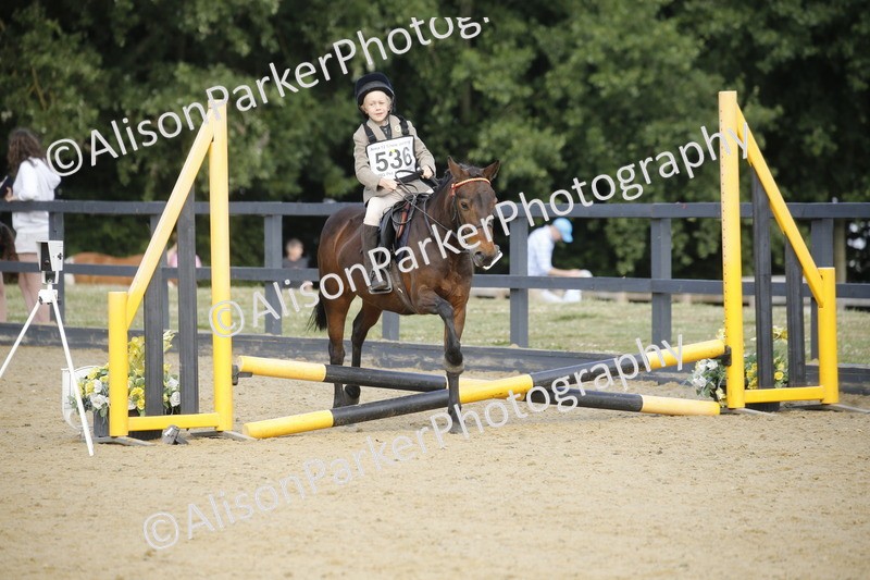 20250622-1598 - 40cm