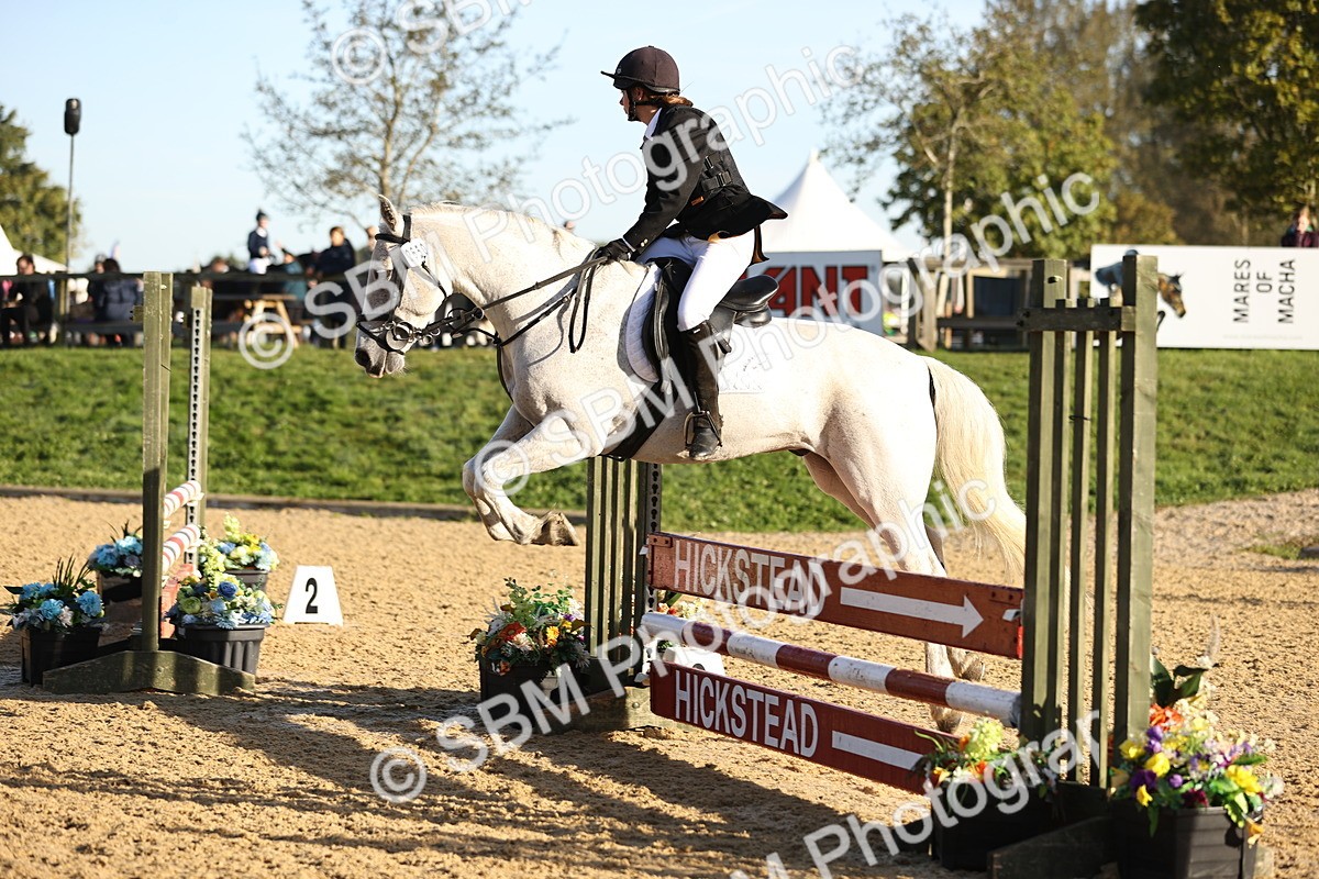 SBM_33178 - J38 - Senior 80cm Championship