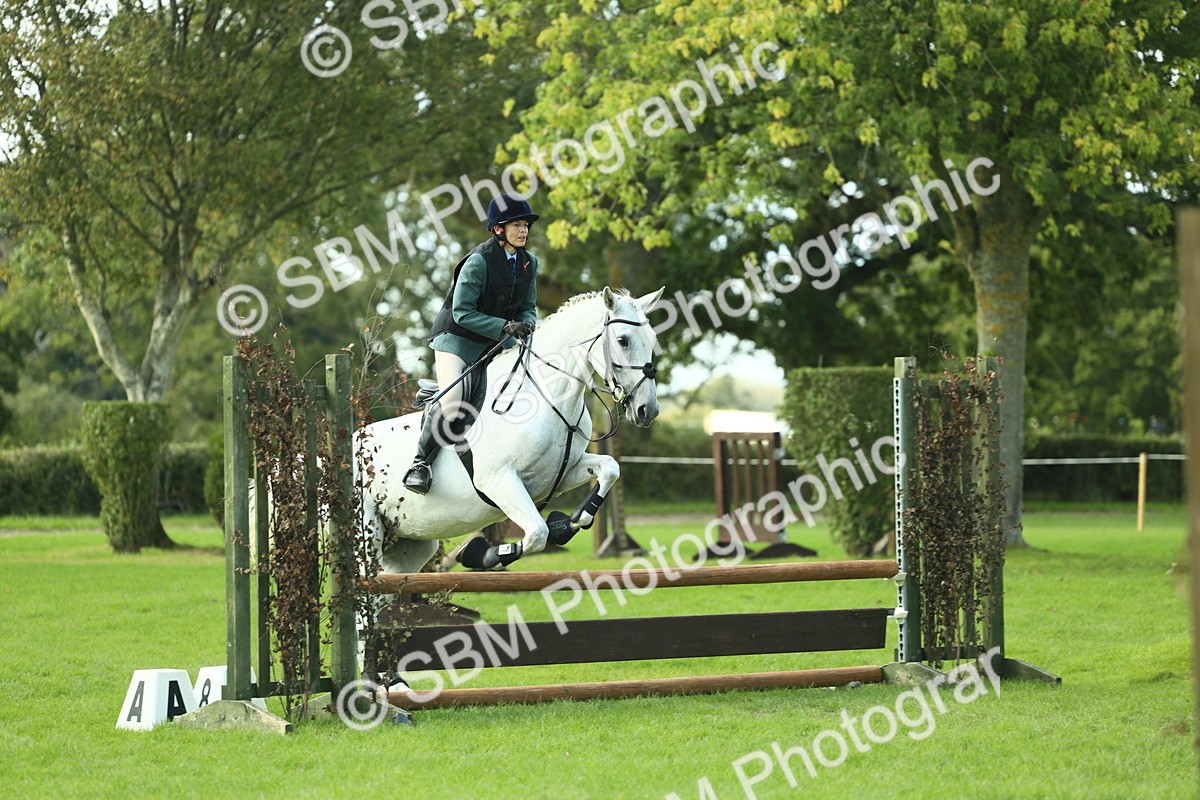 SBM_50601 - S33 - Working Hunter & Working Show Horse