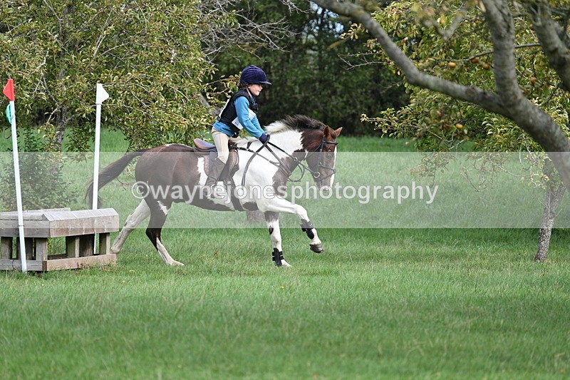 WJ7_8433 - 60cm Pairs