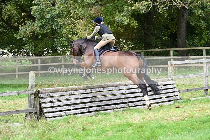 WJ7_4736 - Camera 1 Line 3