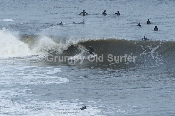 DSC_4223 - Cayton Point 30th October 2017