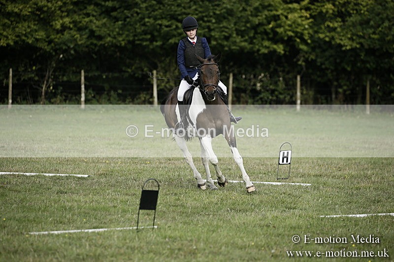 BVR090918 117 - BVRC Dressage and Show Jumping 09/09/18
