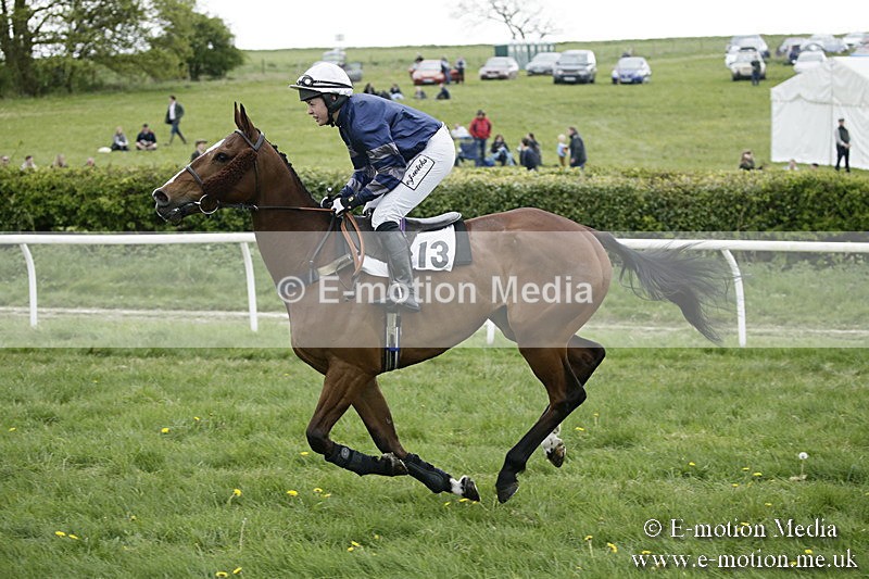 PtP 170417 505 - Old Berks Point-to-Point Lockinge 17/04/17