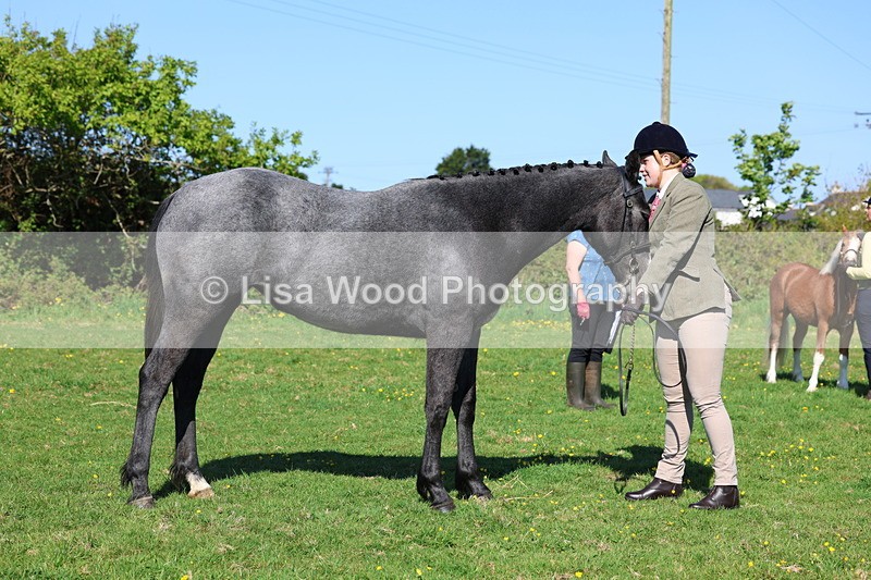 3E7A9055 - Class 15: Two/Three Year olds