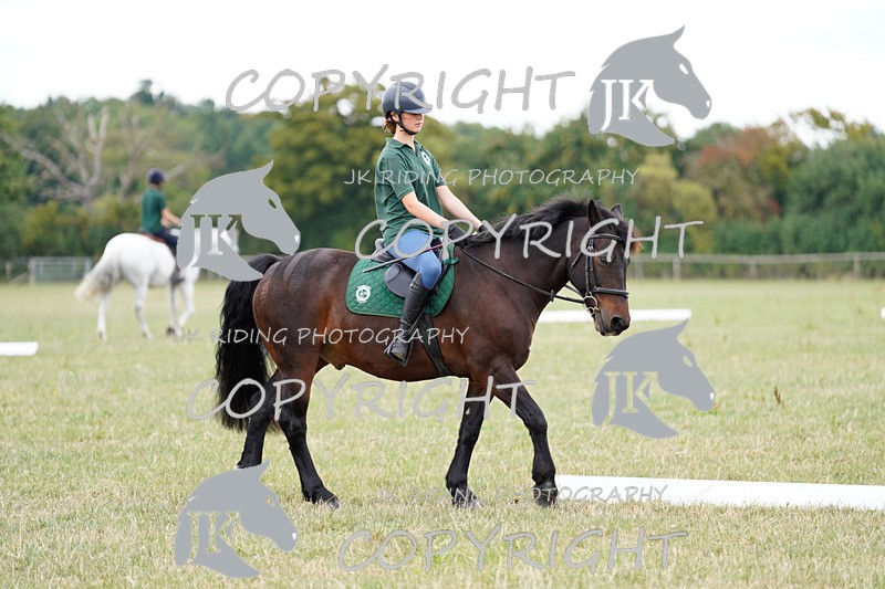 _DSC3719 - Harriet's Group
