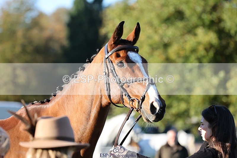 241027-084019-14735 - 383-Kirstin.Elisa.Evans-MONTY.GUIRY