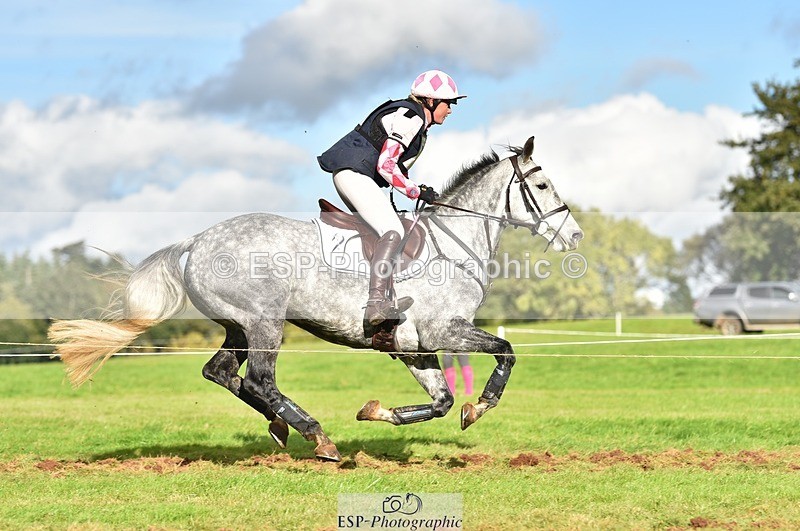 231021-152626-19097 - 553-HARLEQUIN.RABBIT-Althea.Bleekman-SC+XC