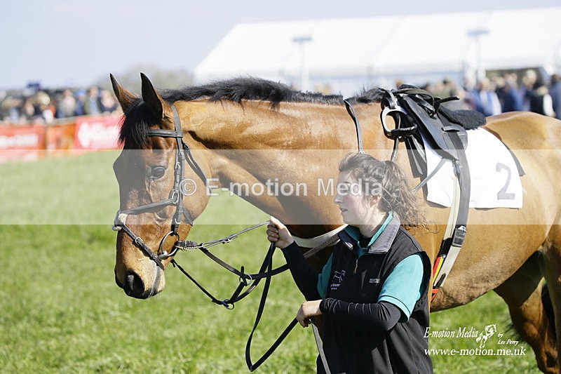 PtP 200322 88 - Mendip Farmers Point-to-Point 20/03/22