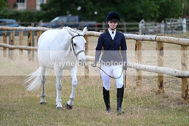 WJ7_9046 - Class 4a Prettiest Mare 14.2hh and over