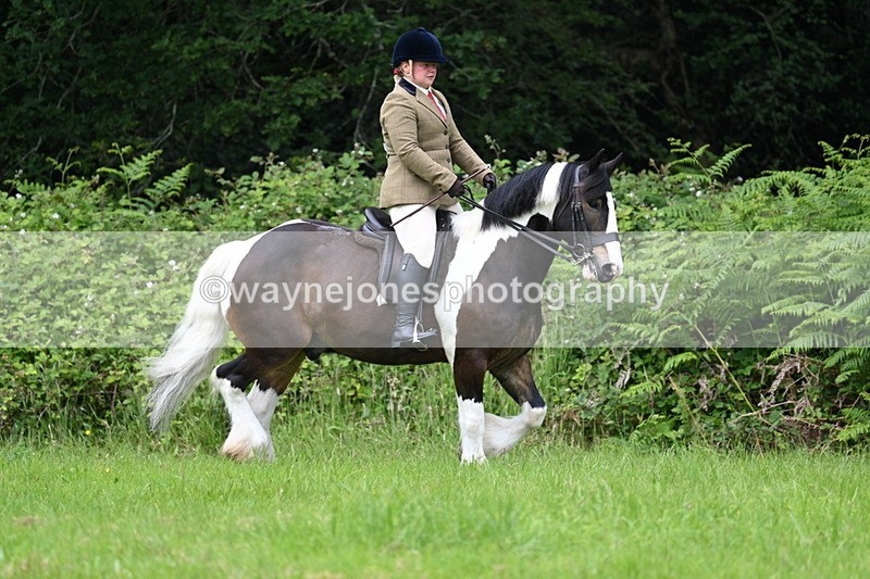 WJ7_2331 - Class 12A Coloured Class