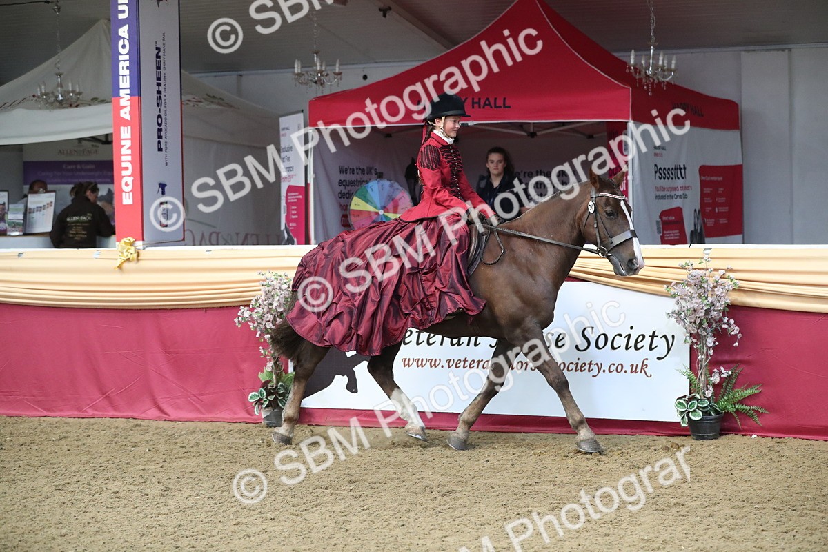 SBM_11232 - Class 104 Ridden Costume - Astride Junior