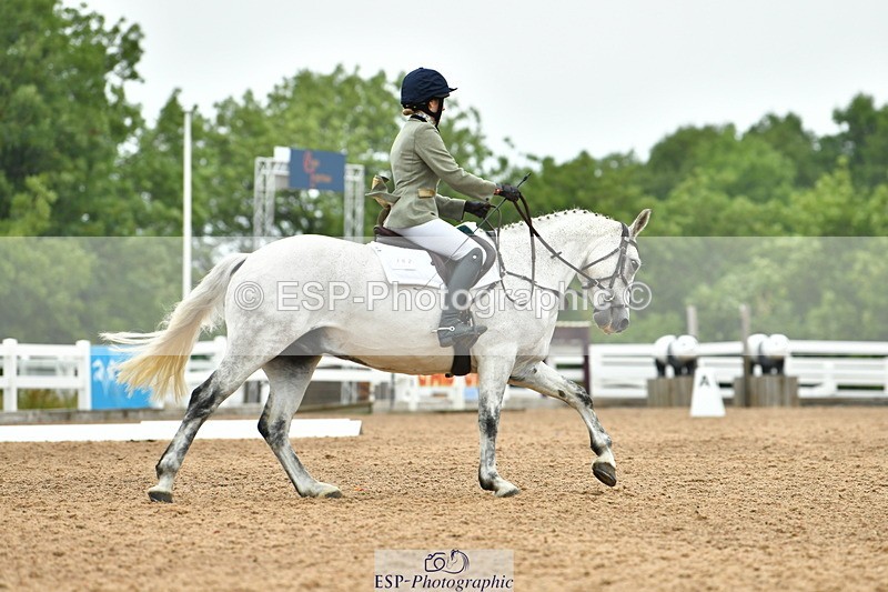 230708A-104515-02399 - Prelim 13