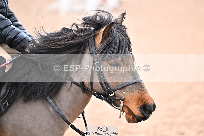 260208-130451-01273 - Cls 18 Clear Round 50cm