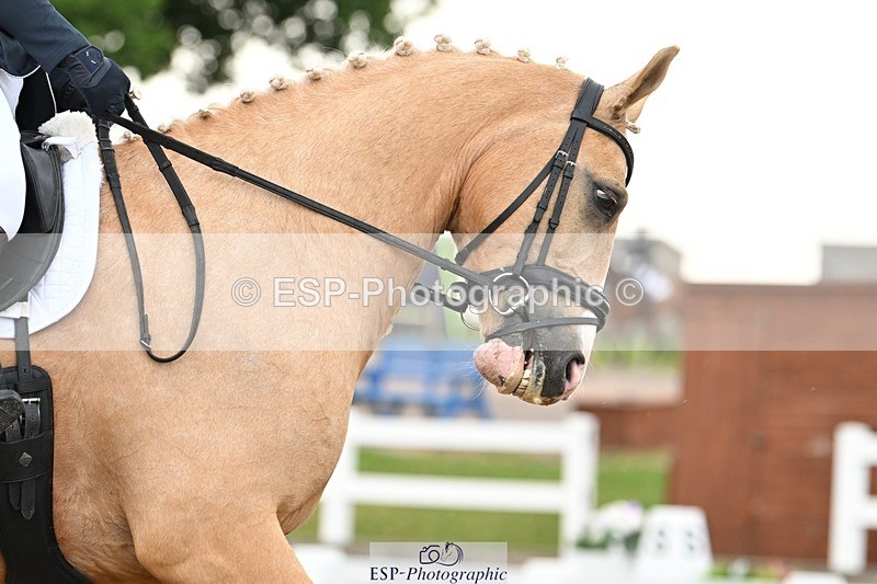 250620-092411-02428 - BD Cls 1 - Preliminary 5, 9.20am to End