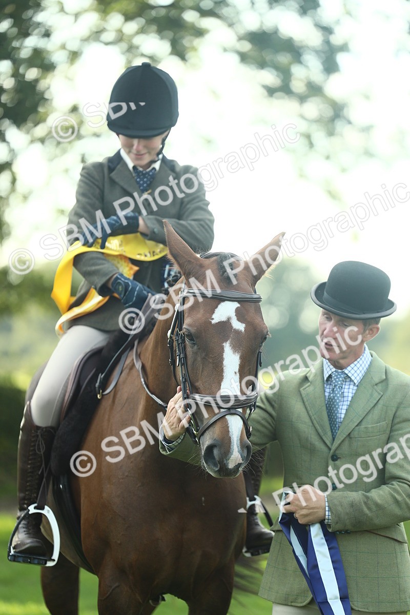 SBM_52290 - Working Hunter Supreme Championship