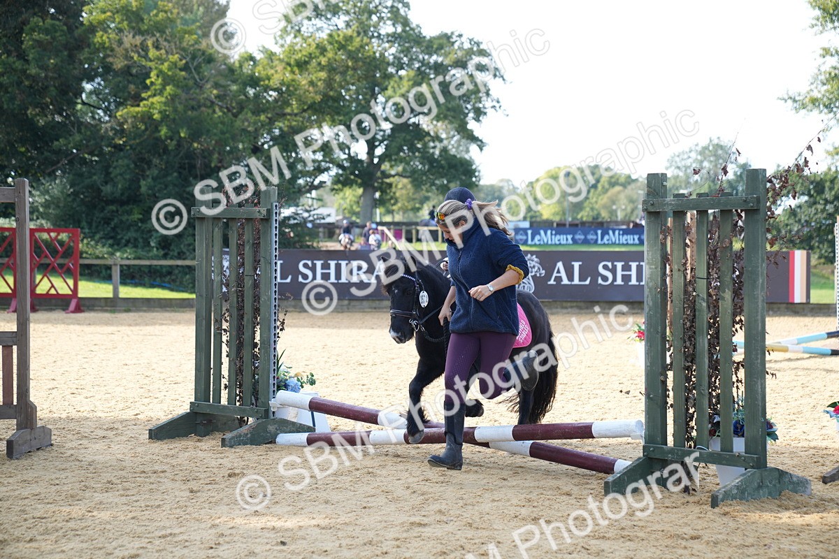 SBM_61455 - J1 - Mini Tour Junior Pony Lead Rein 30cm Championship