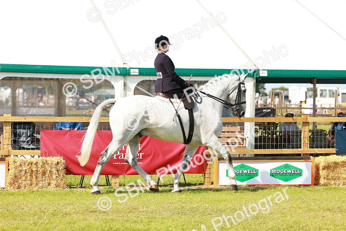 SBM_13117 - Class 70-71 - Side Saddle