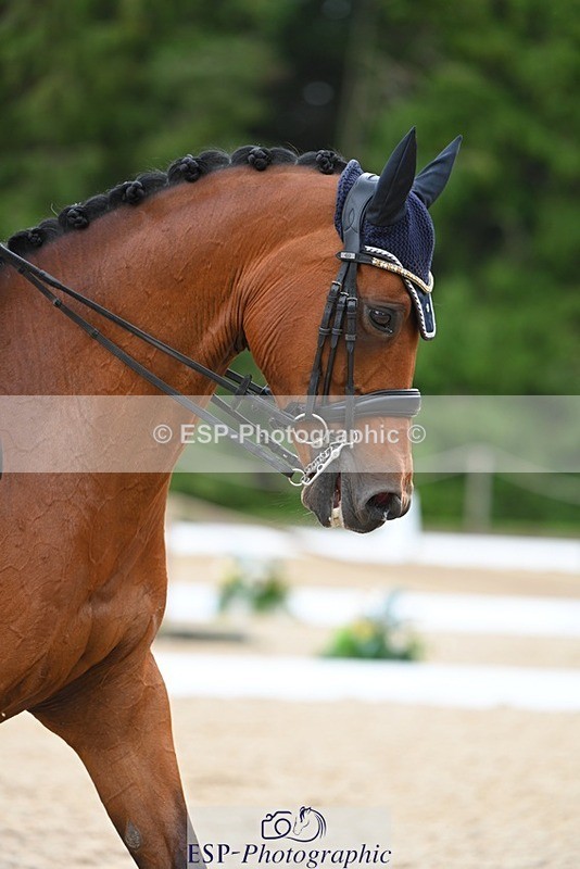 230813-132152-07549 - Cls 13 Medium Bronze 13.15 to End